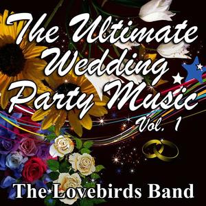 1专辑_the lovebirds band_无损音乐专辑_酷我音乐