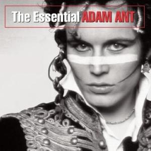 Adam Ant《Wonderful》[MP3_LRC]