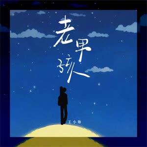 王小帅 - 老男孩（破碎版）