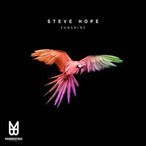 Steve Hope《Sunshine(Original Mix)》[MP3_LRC]