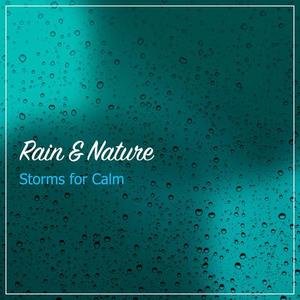 Ambientalism&Sleep Tight&Sound Sleeping - 7 Minute Loopable Heavy Rain