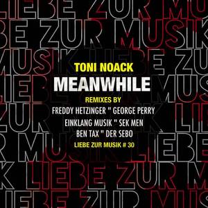 Toni Noack《Meanwhile(Einklang Musik Remix)》[MP3_LRC]