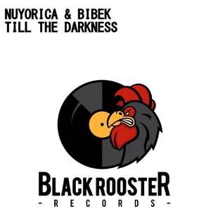 Nuyorica&Bibek《Till The Darkness(Original Mix)》[MP3_LRC]