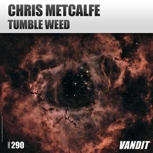 Chris Metcalfe《Tumbleweed(Extended)》[MP3_LRC]