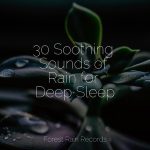 Study Zone&Nature Chillout&Nature and Rain - Rain in the Garden