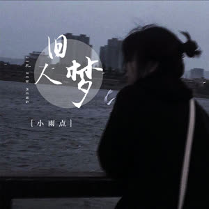 小雨点《旧人梦(DJ默涵版伴奏)》[MP3_LRC]