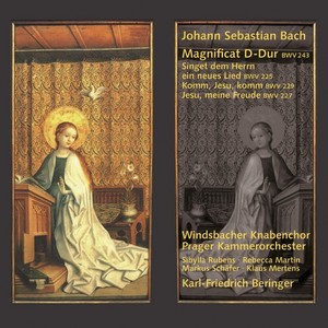 Windsbacher Knabenchor&Prager Kammerorchester&Karl-Friedrich Beringer&Johann Sebastian Bach《Ihr aber seid nicht fleischlich》[MP3_LRC]