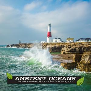 Funk Waves Ocean Studio - Top Ocean Waves