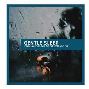 Rain Goodwill Nature Sounds - Amazing Light Rain