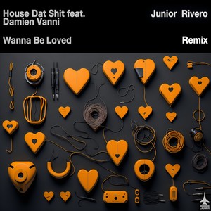 House Dat Shit&Damien Vanni《Wanna Be Loved(Rivero Retro Radio Mix)》[MP3_LRC]