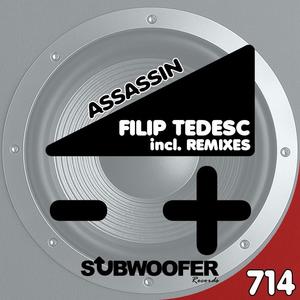 Filip Tedesc《Assassin》[MP3_LRC]