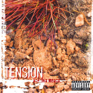 Tension《We Fall Down》[MP3_LRC]