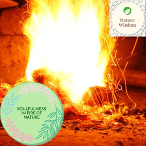 Red Fires Nature Music - Astonishing Ocean
