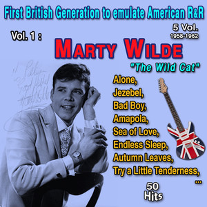 Marty Wilde《Amapola》[MP3_LRC]