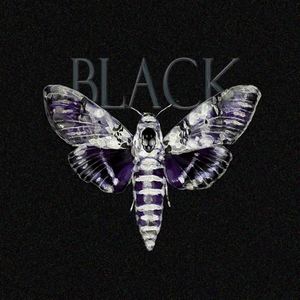 Safran《BLACK(Explicit)》[MP3_LRC]