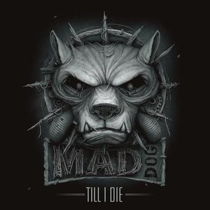 Evil Activities&Mad Dog&E-Life《911(Explicit)》[MP3_LRC]