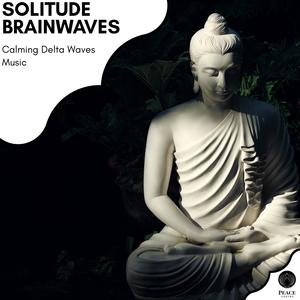 Paul Peace Meditation Library《Some Faded Dreams (Sleeping Delta Waves)(Original Mix)》[MP3_LRC]