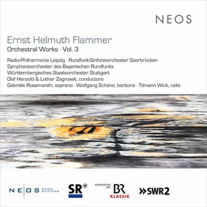 Bavarian Radio Symphony Orchestra&Olaf Henzold《Durch die Erde geht ein Riß gegen das Vergessen: IV. —》[MP3_LRC]