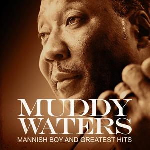 Muddy Waters《Rollin' Stone(Remaster)》[MP3_LRC]