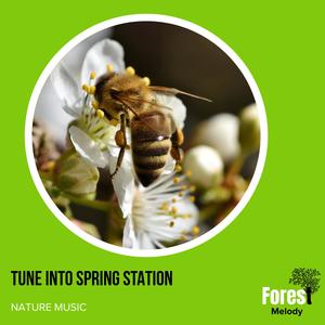 Nature Nourishing Spa Music - Thriling Frogs