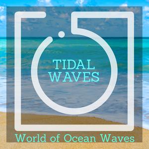 The Ocean Agency Nature Music - The Indian Ocean Waves