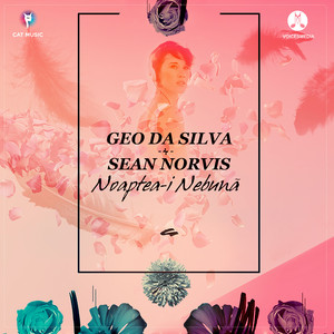 Geo Da Silva&Sean Norvis&Gheorghe Cristinel Constantin《Noaptea-i nebuna》[MP3_LRC]