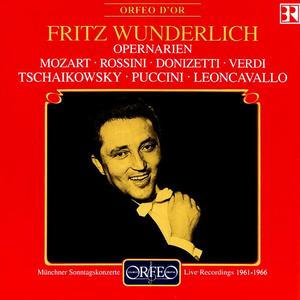 Fritz Wunderlich《Don Giovanni, K. 527: Act II: Aria: Il mio tesoro intanto (Don Ottavio)》[MP3_LRC]