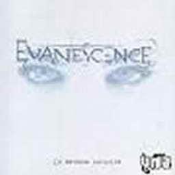 Evanescence《Everybody's Fool》[MP3_LRC]