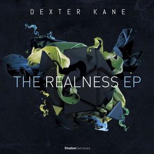 Dexter Kane《Hello Analogue》[MP3_LRC]