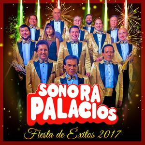 Sonora Palacios - Mix: los Domingos / Pedacito de Mi Vida
