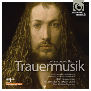 Andreas Wolf&Akademie für Alte Musik Berlin&Hans-Christoph Rademann《Trauermusik, Tertia Pars: 24. Recitativo (Bass) "Die Herrschaft"》[MP3_LRC]