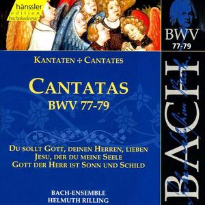 Gachinger Kantorei&Stuttgart Bach Collegium&Helmuth Rilling《Chorale: Erhalt uns in der Wahrheit (Chorus)》[MP3_LRC]