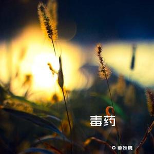 赵方婧《毒药》[MP3_LRC]