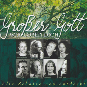 Sebastian Cuthbert&Frieder Jost&Helmut Jost&Sabine Jost&Eberhard Rink&Danyelle Vanes&Liisa Wahler&Ruthild Wilson - Wie ein Strom von oben