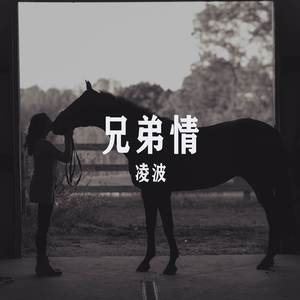 凌波《洞房怨》[MP3_LRC]