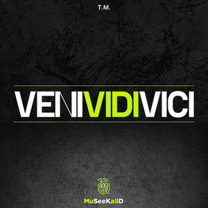 T.M.&Museekal《Veni Vidi Vici(Instrumentale Version)》[MP3_LRC]