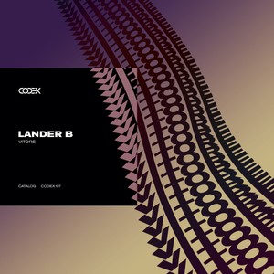 Lander B《Symphony》[MP3_LRC]