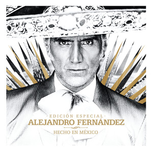 Alejandro Fernández《Nuestro Gran Secreto》[MP3_LRC]