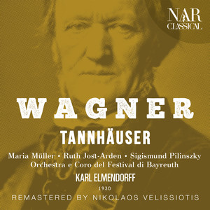 Orchestra del Festival Di Bayreuth&Karl Elmendorff&Maria Müller&Sigismund Pilinszky《"Im Traum bin ich und tör'ger als ein Kind" (Elisabeth, Tannhäuser)》[MP3_LRC]