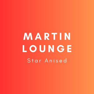 Martin Lounge《Implexmexnt》[MP3_LRC]