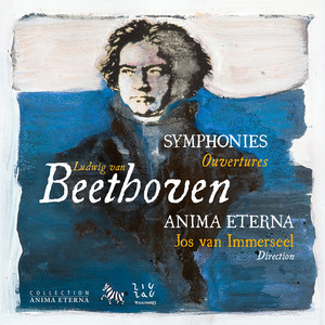 Anima Eterna Brugge&Jos Van Immerseel&Anna-Kristiina Kaappola&Marianne Beate Kielland&Markus Schafer&Thomas E. Bauer&Ludwig van Beethoven&Friedrich von Schiller《Symphony No. 9 in D Minor, Op. 125: IVb. Presto - Rezitativo》[MP3_LRC]