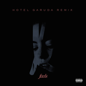 Kiiara《Feels(Hotel Garuda Remix|Explicit)》[MP3_LRC]