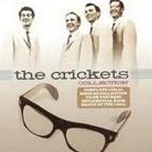 The Crickets《Not Fade Away》[MP3_LRC]