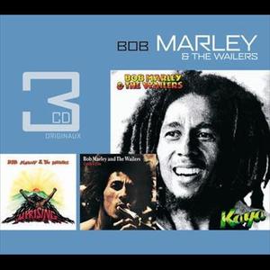 Bob Marley&The Wailers《Bad Card》[MP3_LRC]