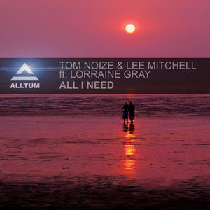 Lee Mitchell&Tom Noize&Lorraine Gray《All I Need(Keystate Remix)》[MP3_LRC]