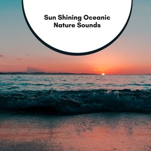 Eric Library of Nature Sounds《Ocean Forest Relaxing》[MP3_LRC]