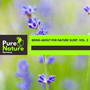 Empowering Fire Nature Music - Magnificent Summer Forest