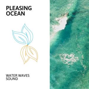 Thunder Waves Music Project - The Pasture View