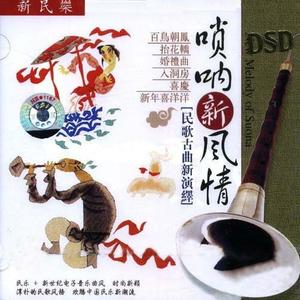 纯音乐 - 百鸟朝凤