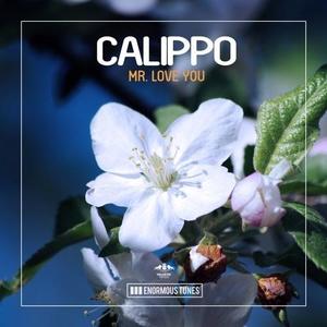 Calippo《Mr. Love You(Original Mix)》[MP3_LRC]